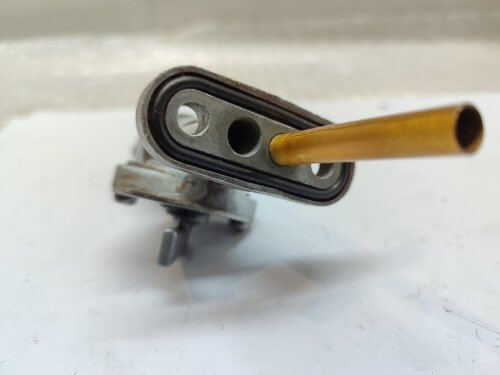 IMG-1e8a7acdf930e68c242cacef5cd49ee5-V