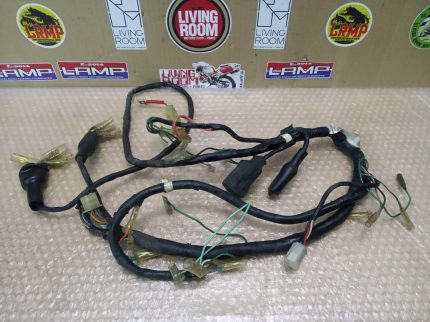 Honda MBX 80 WIRING HARNESS