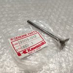 Kawasaki GPZ 550 Exhaust Valve