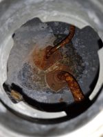 Honda NS 125 R Fuel Tank 93- - Image 7