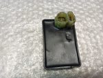 Honda XBR 500 ECU / CDI