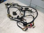 Honda TACT 50 Wiring Harness / Main