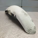 Suzuki RG 250 Γ GJ21A Fender Front 83’