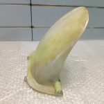 Honda CBR 400 RR NC29 Fender Rear / Swing Arm