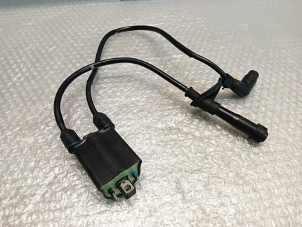 Honda NTV 600 Revere Ignition Coils