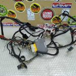 Piaggio ZIP 50 Wiring Harness