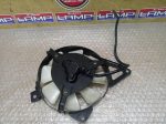 Suzuki GSX 250 R GSXR RADIATOR COVER - Image 3