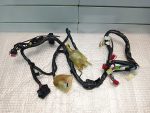 Honda CB 1300 super four Wiring Harness / Main 98-02’ - Image 4