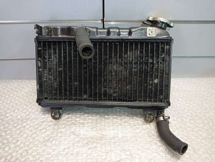 Suzuki RG 250 GJ21A Γ Radiator 83’
