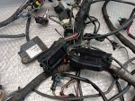 Aprilia RSV 1000 Mille Wiring Harness / Main 08’ - Image 6