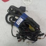 Kawasaki KR1 WIRING HARNESS 88’