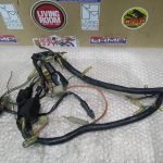 Honda MTX 80 WIRING HARNESS