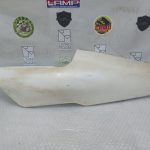 Yamaha FZR 600 RIGHT SIDE PANEL 1988